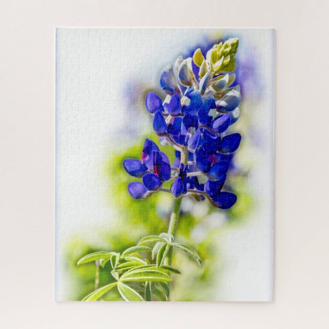Texas Bluebonnet Blume auf Weiß mit Grafik (Vertikal)