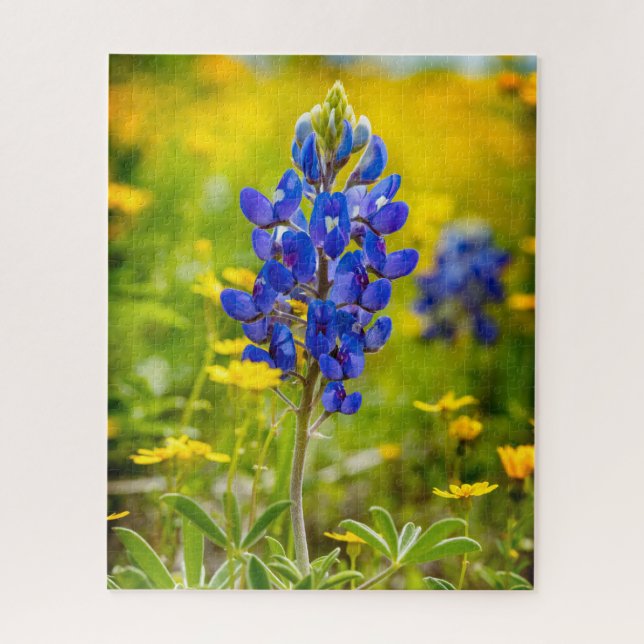 Texas Bluebonnet Blume mit Gelb (Vertikal)