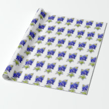 Texas Bluebonnet-Blumen, Geschenkpapier