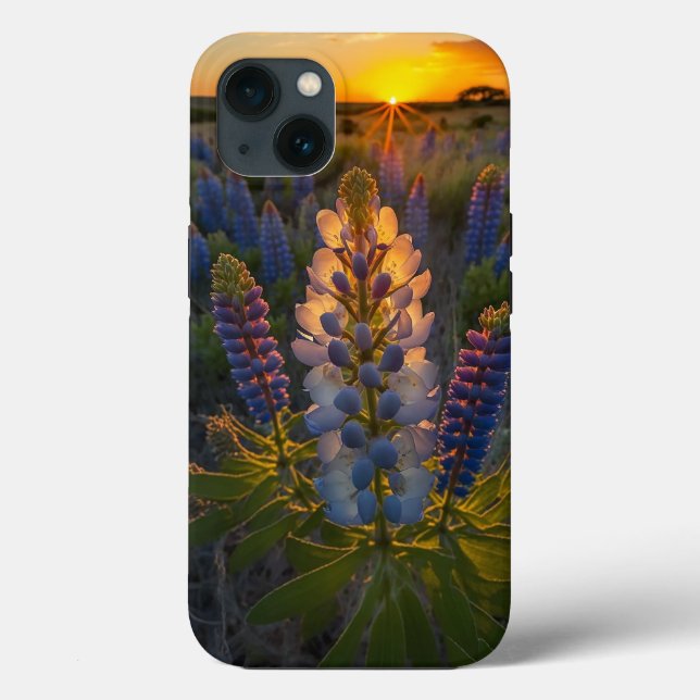 Texas Bluebonnet Case-Mate iPhone Hülle (Rückseite)