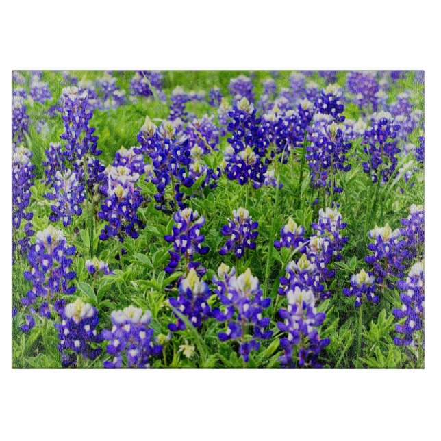 Texas Bluebonnet Glasschneidbrett Schneidebrett (Vorderseite)