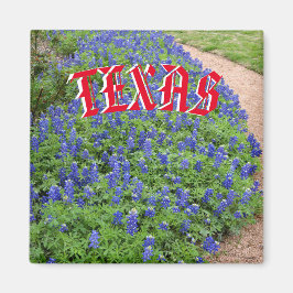 Texas Bluebonnet-Magnet Magnet
