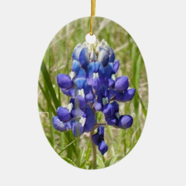 Texas Bluebonnet Ornament bemalt (Vorne)
