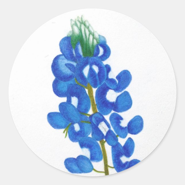 Texas Bluebonnet Sticker (Vorderseite)