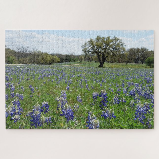 Texas Bluebonnets (Horizontal)