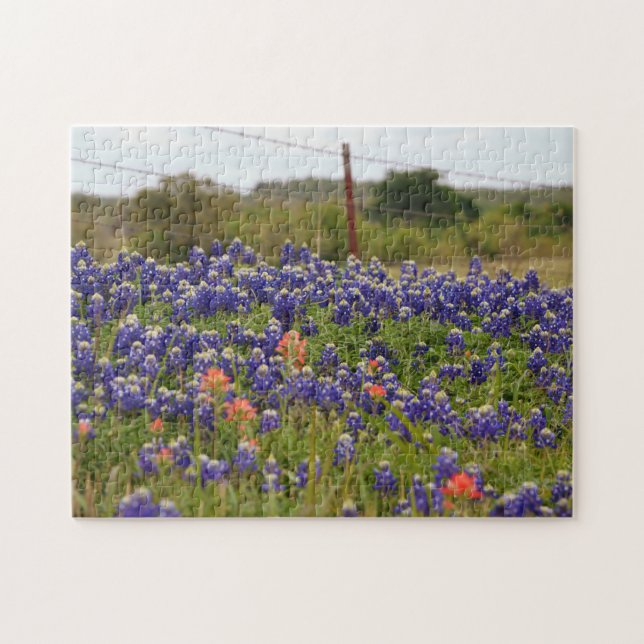 Texas Bluebonnets à Farm Country Fence Puzzle (Horizontal)