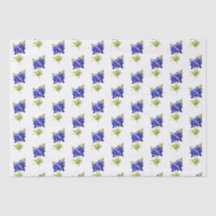 Texas Bluebonnets-Blume,