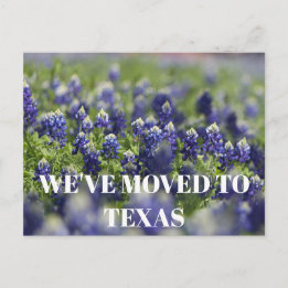 Texas Bluebonnets Blume Wildblume Blau Blumen Postkarte