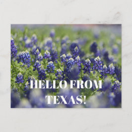 Texas Bluebonnets Blume Wildblume Blue Floral Postkarte