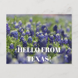 Texas Bluebonnets Blumen Wildblume Blau Blumen Postkarte