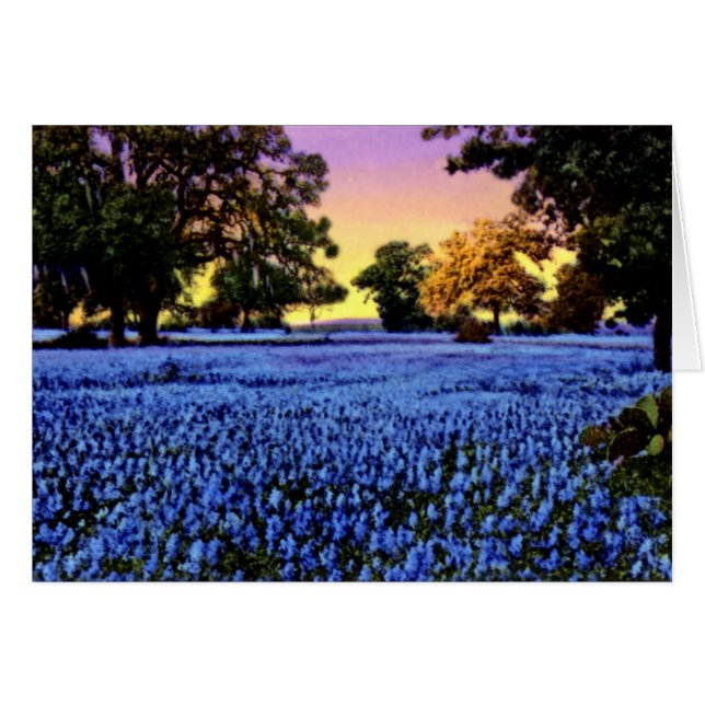 Texas Bluebonnets decken ein Feld bei Sonnenunterg (Vorderseite (Horizontal))