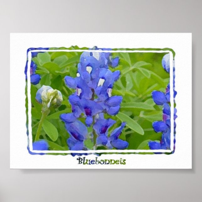 Texas Bluebonnets Digital Watercolor Poster (Vorne)