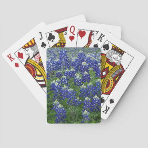 Texas Bluebonnets Field Foto Spielkarten