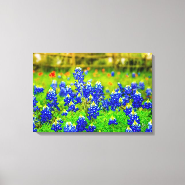 Texas Bluebonnets Field Rustic Blue Wildblumen Leinwanddruck (Vorderseite)