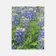 Texas Bluebonnets