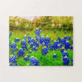 Texas Bluebonnets Indian Floral Nature Travel