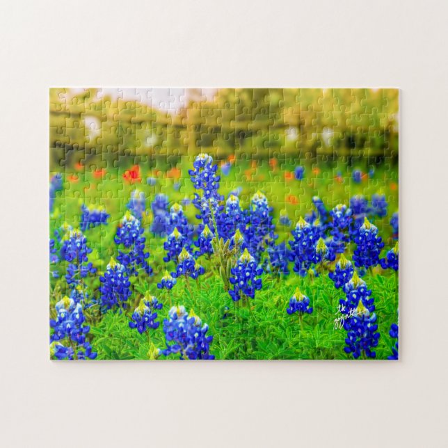 Texas Bluebonnets Indian Floral Nature Travel (Horizontal)