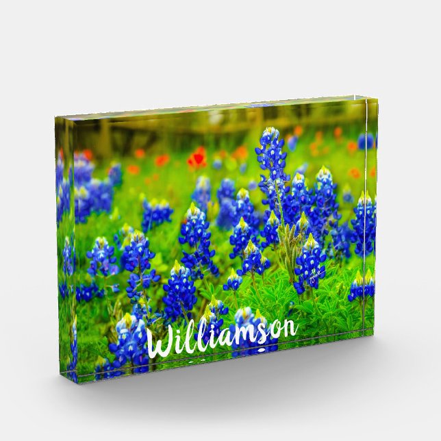 Texas Bluebonnets Indian Paintbrush Family Name Fotoblock (Links)
