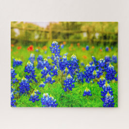Texas Bluebonnets Indian Paintbrush Floral