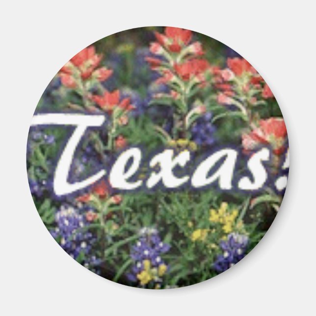 Texas Bluebonnets Pinsel Magnet (Vorne)