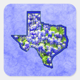 TEXAS BLUEBONNETS QUADRATISCHER AUFKLEBER