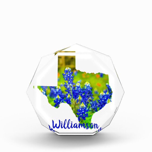 Texas Bluebonnets Staat Texas Fotoblock (Vorderseite)