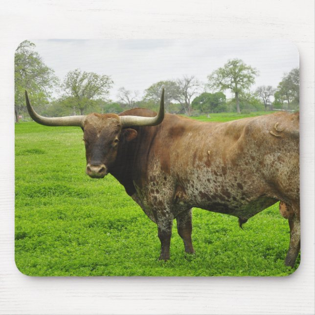 Texas brannte orange Longhorn-Ochsen Mousepad (Vorne)