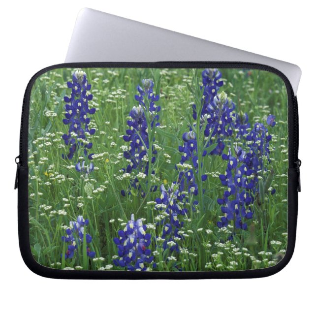 Texas, Buchanan-See. Texas Bluebonnet und Wild Laptopschutzhülle (Vorderseite)