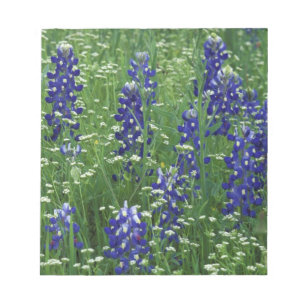 Texas, Buchanan-See. Texas Bluebonnet und Wild Notizblock