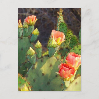 Texas Cactus 2 Postkarte