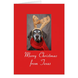 Texas Christmas Card, Staat spezifisch