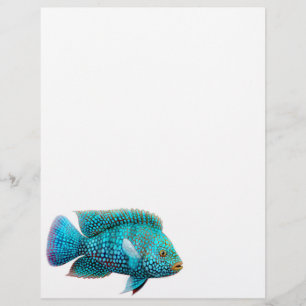 Texas Cichlid Fisch Letterhead