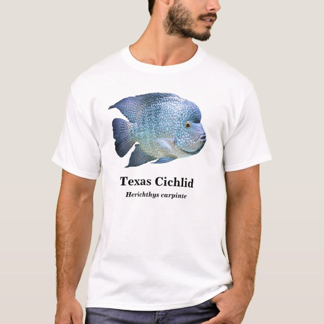 Texas Cichlid , Herichthys carpintis T-Shirt (Vorderseite)