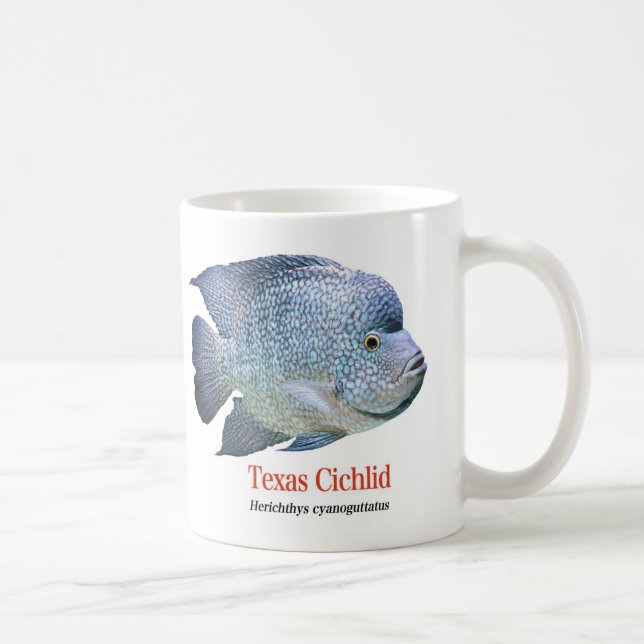 Texas Cichlid Kaffeetasse (Rechts)