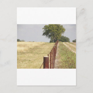 Texas Fence Line Postkarte