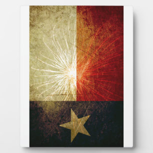 Texas Flag Firework Fotoplatte