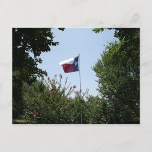 Texas Flag Postcard Postkarte
