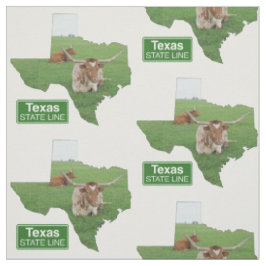 Texas-Form mit langgestreckter Staat-Linie, Zeiche Stoff
