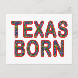 Texas Geboren Bluebonnet Postkarte