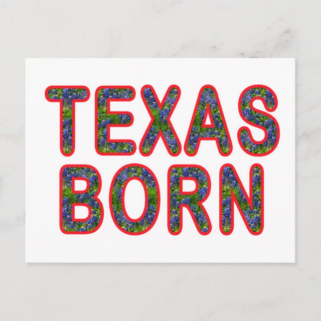 Texas Geboren Bluebonnet Postkarte (Vorderseite)