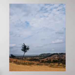 Texas Hill Country Landscape Poster
