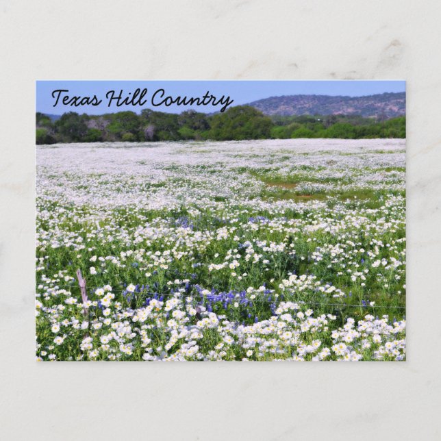Texas Hill Country Postcard Postkarte (Vorderseite)