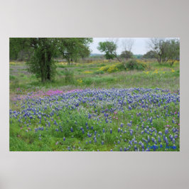 Texas Hill Country Print Poster