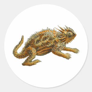 Texas Horned Lizard Runder Aufkleber