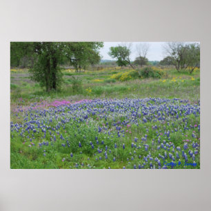 Texas-Hügel-Land-Druck Poster