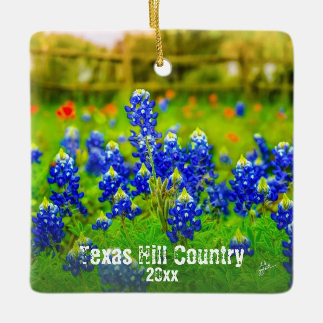 Texas-Hügel-LandBluebonnets besitzen Foto-Reise Keramikornament (Vorderseite)