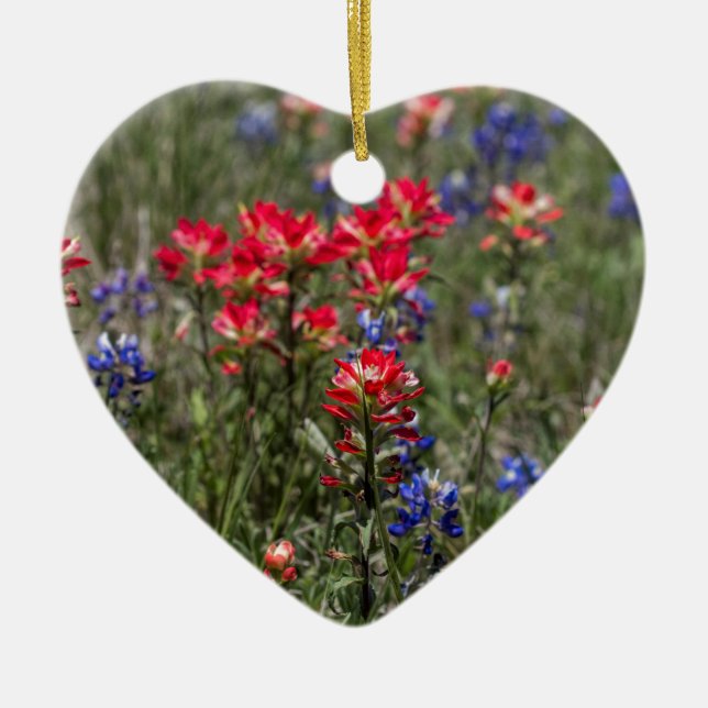 Texas indischer Malerpinsel-und Keramikornament (Vorne)