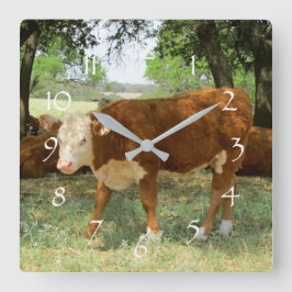 Texas Kuh Landschaft Quadratische Wanduhr