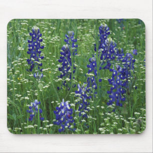 Texas, Lake Buchanan. Texas-Bluebonnet und Wild Mousepad