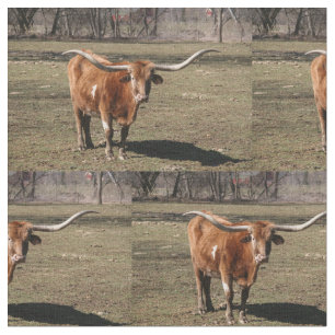 Texas Lange Hörner! Stoff